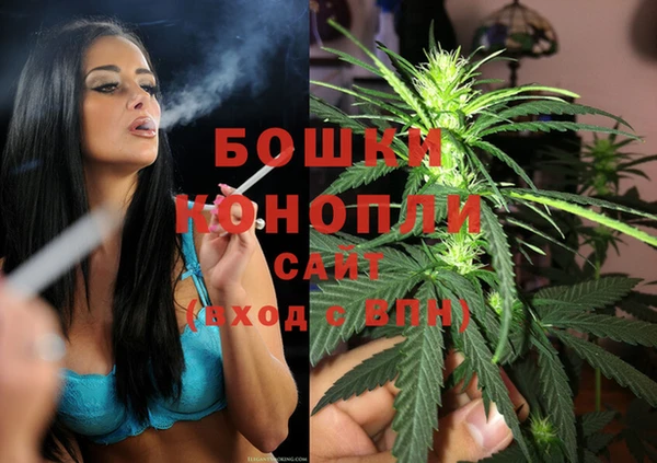скорость Вяземский