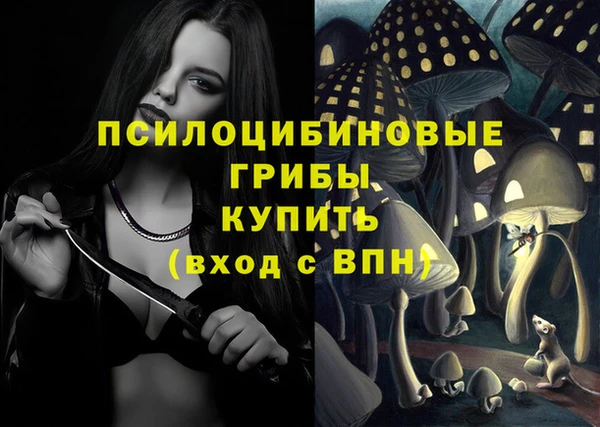 спиды Вязники