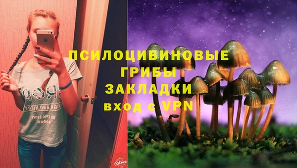тгк Вязьма