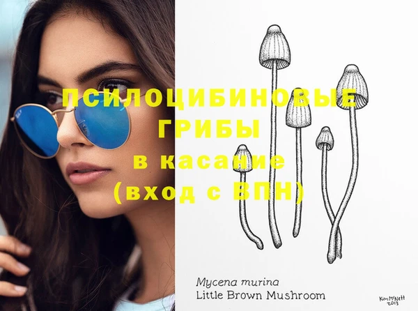 скорость Вяземский