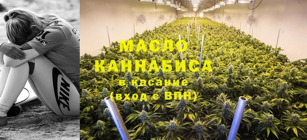 скорость Вяземский
