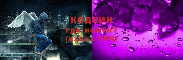 скорость Вяземский