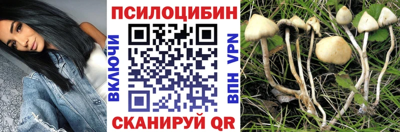 Псилоцибиновые грибы ЛСД  Йошкар-Ола 